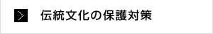 伝統文化の保護対策