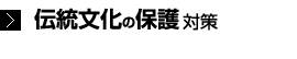 伝統文化の保護対策